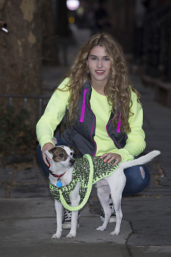 Flashy Dog Sweater