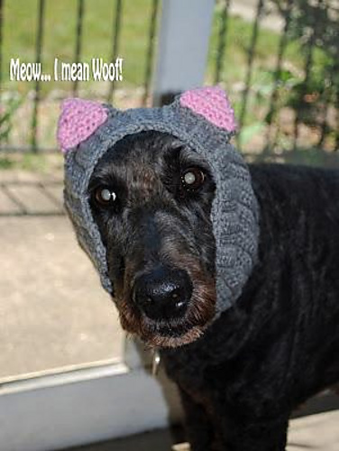 Kugel's Endless Scarf (with Cat Ears)