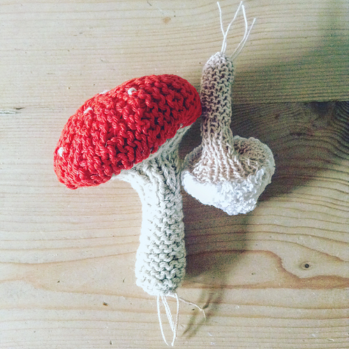 Mushroom and Toadstool