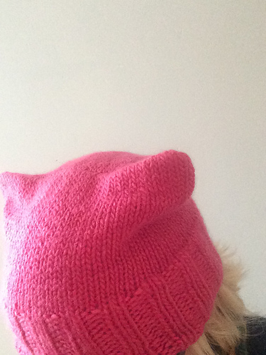 Pussy Hat In The Round (Look Ma, no seams!)