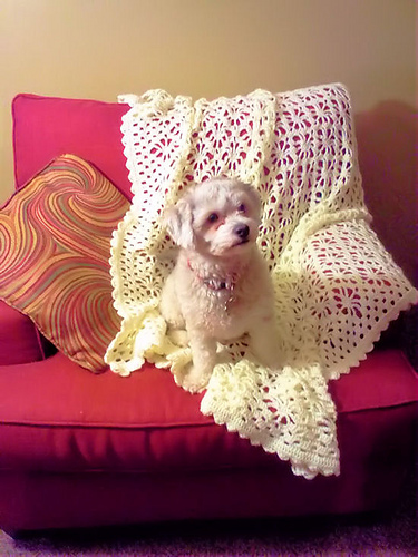 Tangleweb Afghan or Wrap