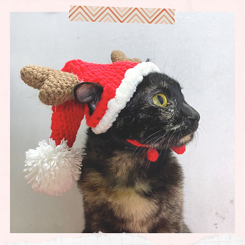 Santa hat for cat