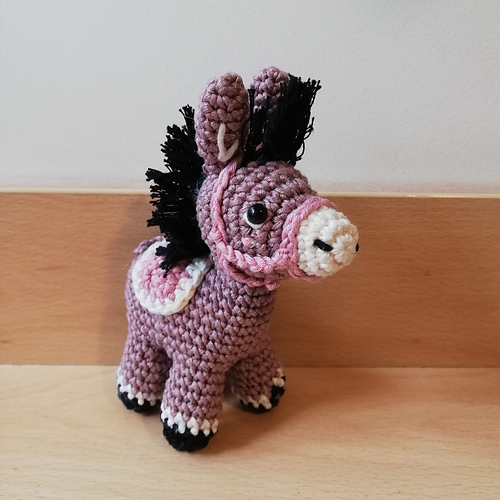 Lily the Donkey