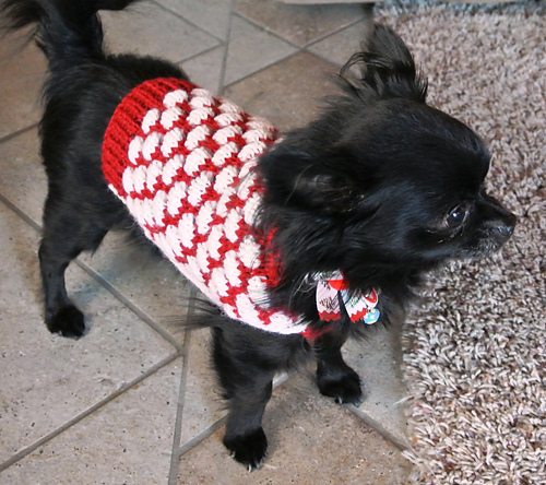 Romeo's Snowball Sweater