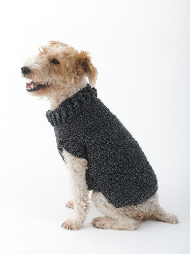 The Poet Dog Sweater