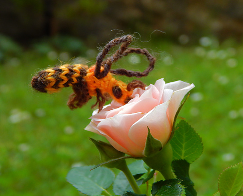 Little Bee