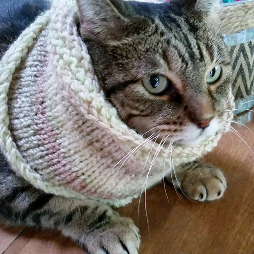 Basic Cowl