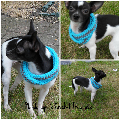Infinity Scarf for Pup