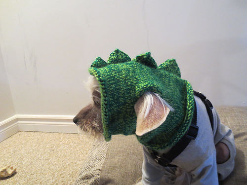 Doggy Dragon Hat (Recipe)