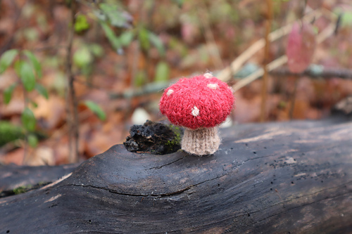 wee mushroom