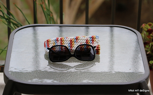 This N That Sunglasses Cover