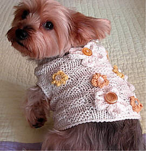 Basket of Daisies Dog Sweater