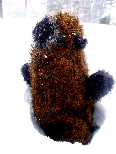 Marmie the Marmot