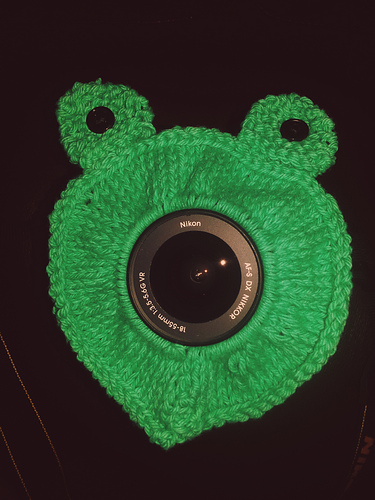 Frog Lens Buddy