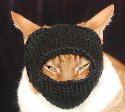 International Cat Hat: Japan