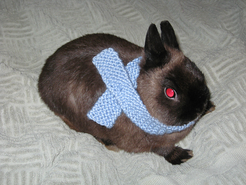 Pet Scarf