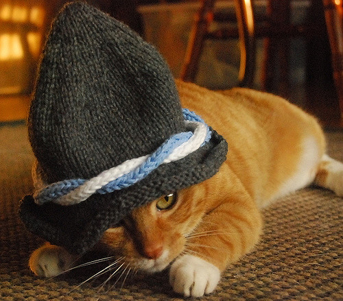 International Cat Hat: Germany, Ein Prosit
