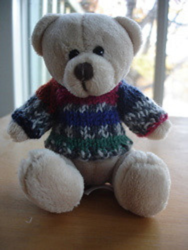 Mini Teddy Bear Raglan Sweater