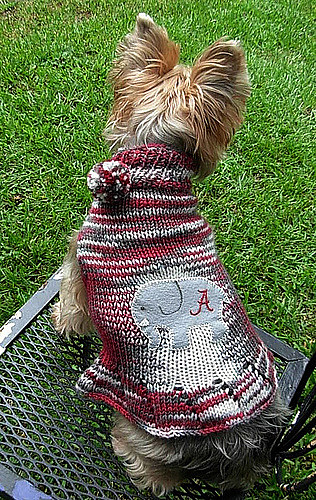 Pup Squad Dog Sweater