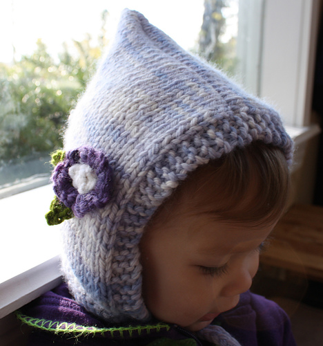 Blue Bonnet