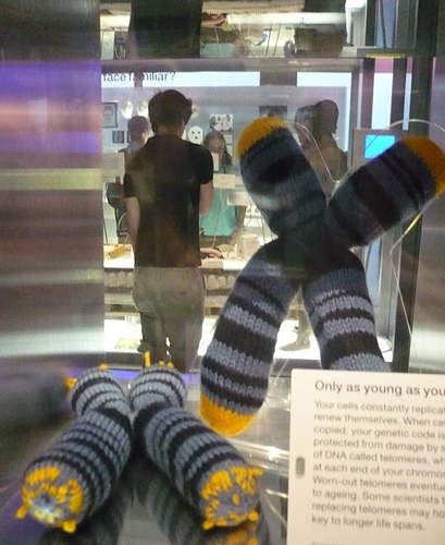 Make your own chromosome