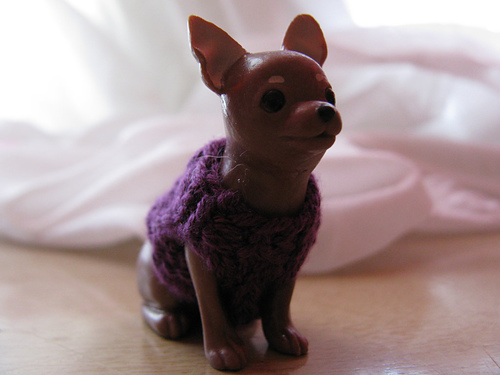 Chihuahua Sweater for Blythe's Pet