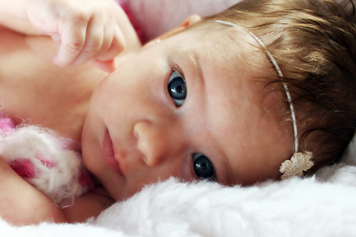 Isabelle Flower Headband