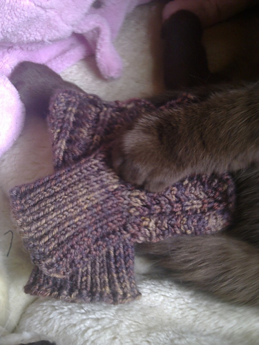 Lacy Cuffs