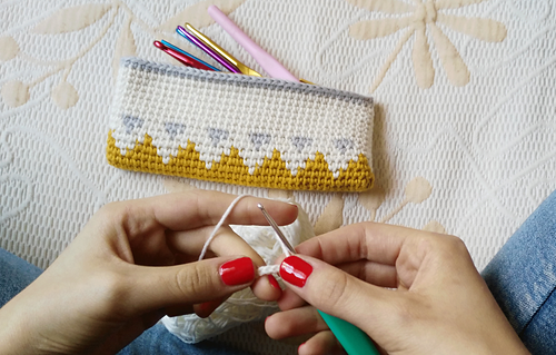 Tapestry Crochet Pouch