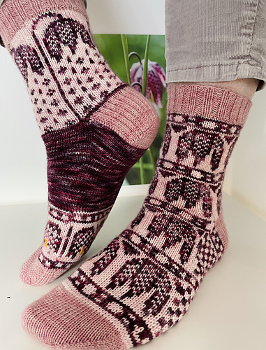 Fritillaria Socks