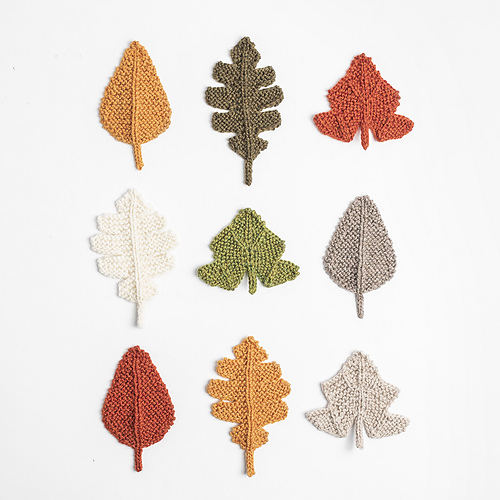 Fall Leaves