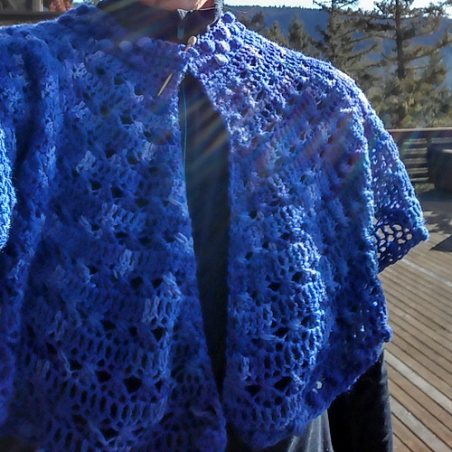 Born to the Purple Capelet