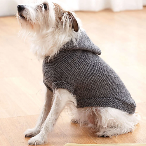 Hoodie Dog Coat
