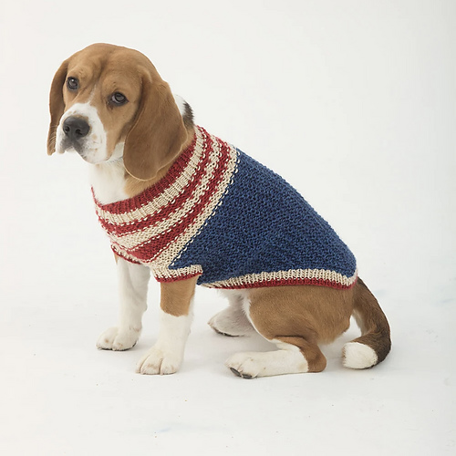 The Patriot Dog Sweater