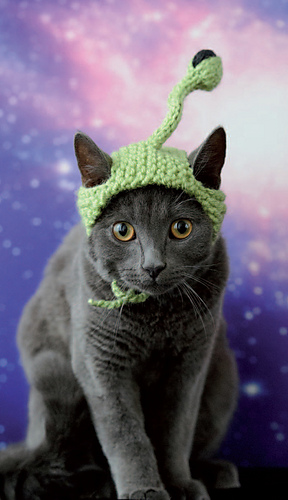 Alien Cat Hat