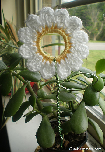 Daisy Plant Poke