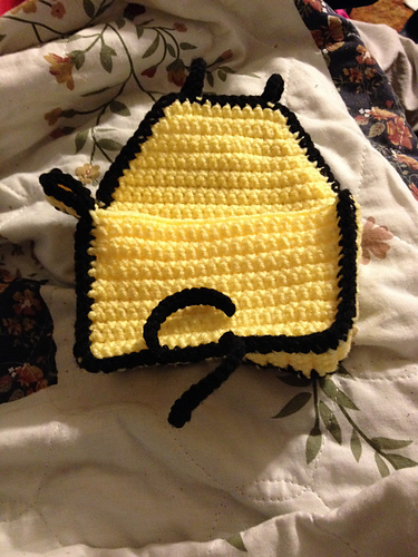 3DS Carrying Case