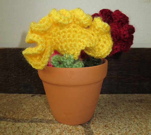 Cockscomb