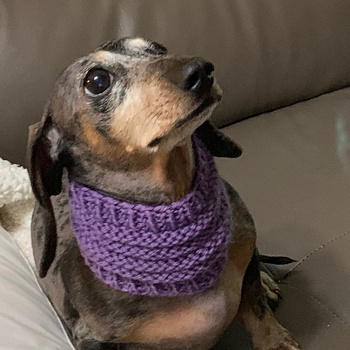 Pupper Poofy Cowl