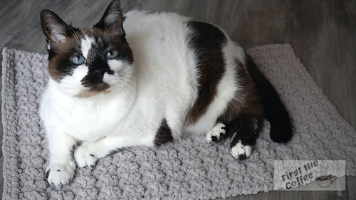 Pet Mat