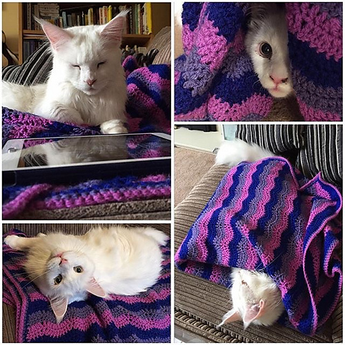A Ripple A Day Blanket
