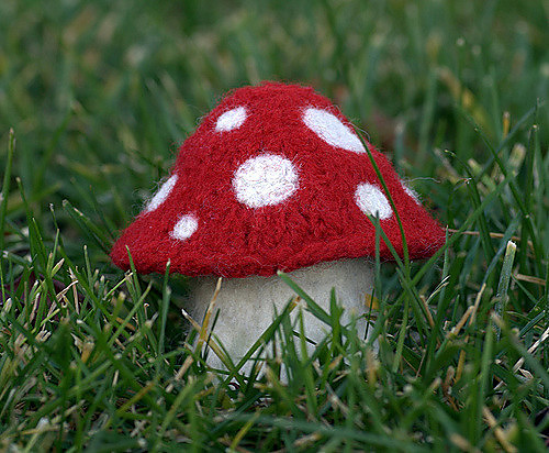 Myriads of Mushrooms