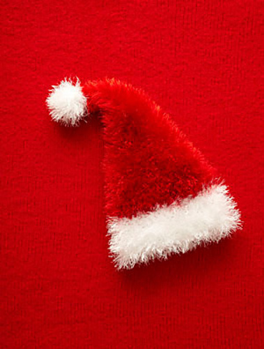 Holiday Santa Hat