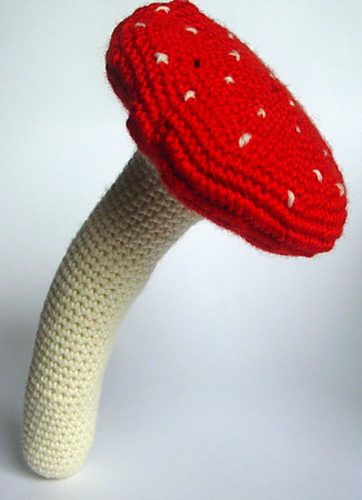 Toadstool Mushroom