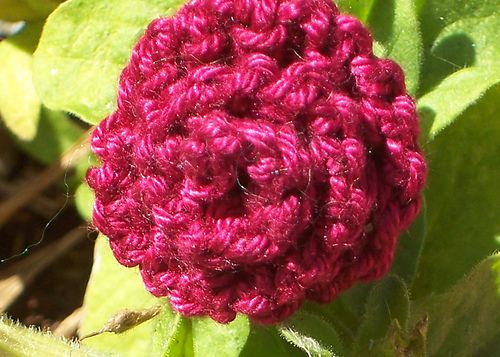 Knitted Roses