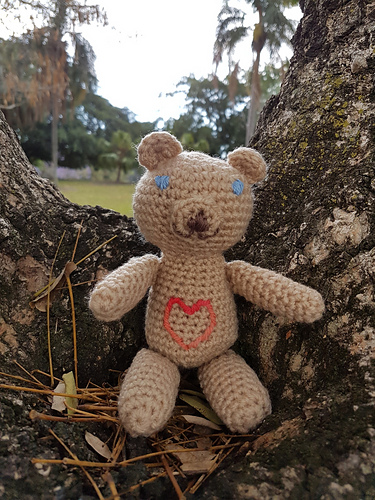 Travel Teddy Bear