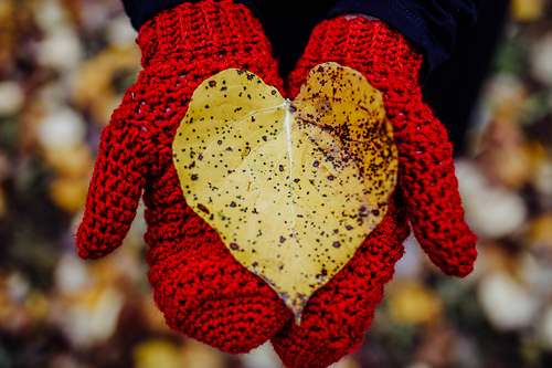 Laurel Mittens