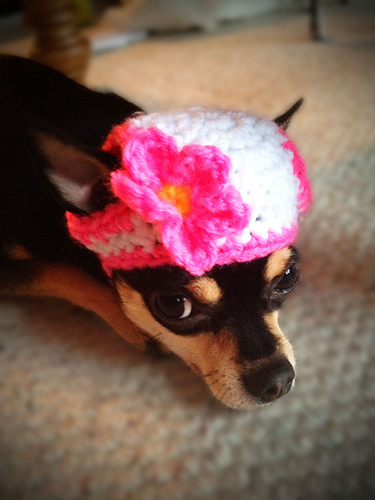 Laney's Flower Hat