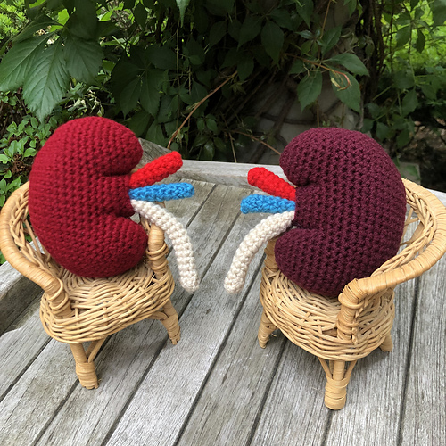 Anatomical Crochet Kidney