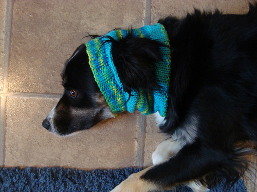 Dog Ear Hat
